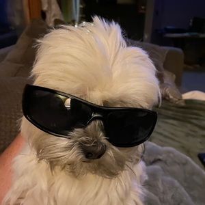 Meet your Posher, Andrew